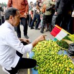 Presiden Jokowi meninjau Pasar Muarao Bungo, Rabu (04/04/2024), di Jambi.