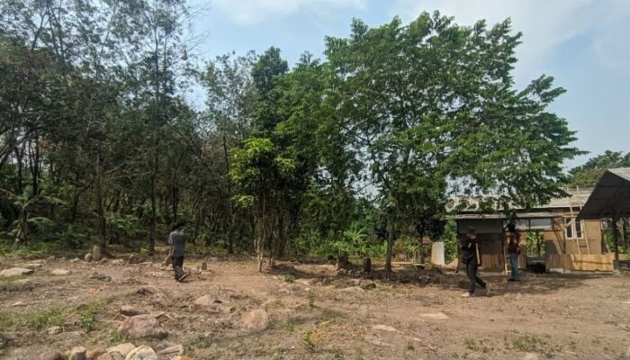 Sukabumi Geger: Makam Palsu Jawi Bakar Emosi Masyarakat