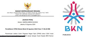 BKN Buka CPNS 2024, Begini Cara Mendaftarnya