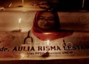 Beredar Bukti Percakapan Dugaan Bullying Senior Aulia Risma Undip: Ini Isinya