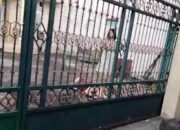 Viral, Anak Tega Bacok Ibu Kandung Pakai Parang  