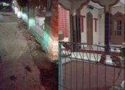 Viral, Fenomena Ribuan Tikus Berkeliaran di Pemukiman Warga Karawang