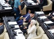 Baru Dilantik Artis Gelar Pesta Berhari-hari, Siapa?