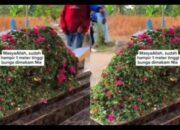 Makam Nia, Gadis Penjual Gorengan Terus Didatangi Peziarah, Tumpukan Bunga 1 Meter Viral