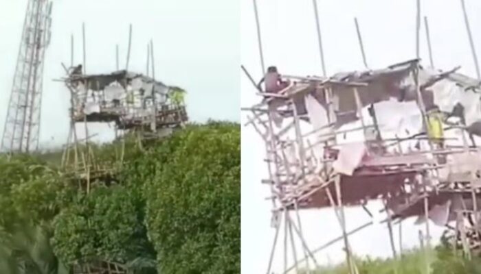 Viral, ODGJ Bikin Rumah Kayu di Tepi Pantai