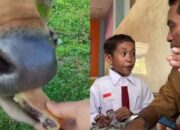 Guru Berdebat dengan Murid tentang Makanan Sapi, Murid: Makan Martabak, Pak