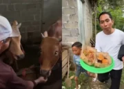 Viral, Guru dan Murid Buktikan Sapi Makan Martabak: Pak Ribut Salah, Maaf, Ya