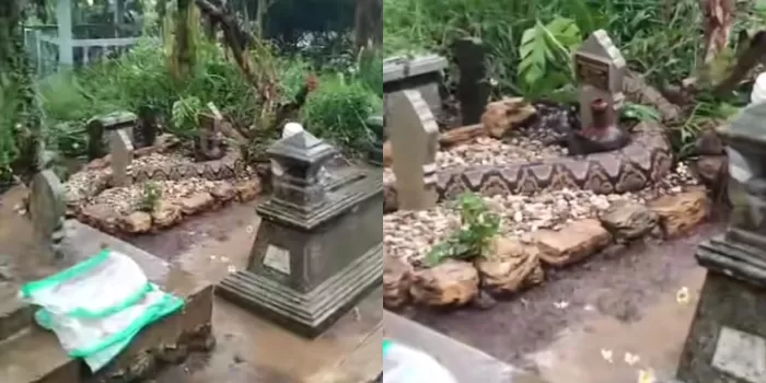 Seekor Ular Besar Melingkar di Malam Bikin Gempar 