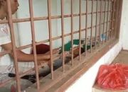Viral, Manajer Perusahaan Sekap Ibu dan Anak Disekap di Kandang Anjing