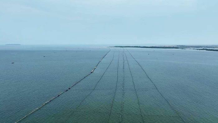 Sekelompok Nelayan Mengklaim Pemilik Pagar Laut Misterius di Tangerang di Tengah Pengusutan, Kok Bisa? 