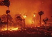 Ternyata, Ini Penyebab Kebakaran Besar di Los Angeles