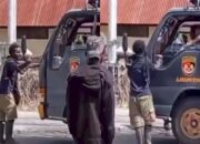 Viral Video Pria Hendak Memalak Sebuah Truk, Ternyata Polisi