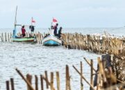 Pembongkaran Pagar Laut Misterius Ditargetkan Rampung 10 Hari, Libatkan 30 Perahu Nelayan
