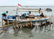 Keserasian Prabowo dan Titiek Soeharto dalam Kasus Pagar Laut di Tangerang