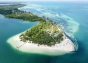 Rencana Survei Seismik Migas di Kangean Ditolak: Mengancam Ekosistem Laut