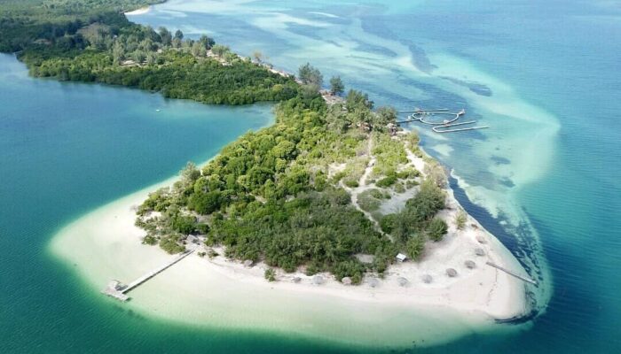 Rencana Survei Seismik Migas di Kangean Ditolak: Mengancam Ekosistem Laut