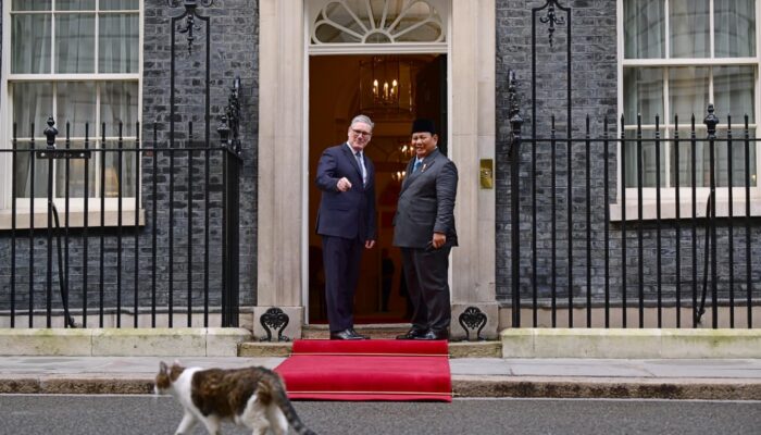 Kembali ke Downing Street, Presiden Prabowo “Disambut” Larry the Cat